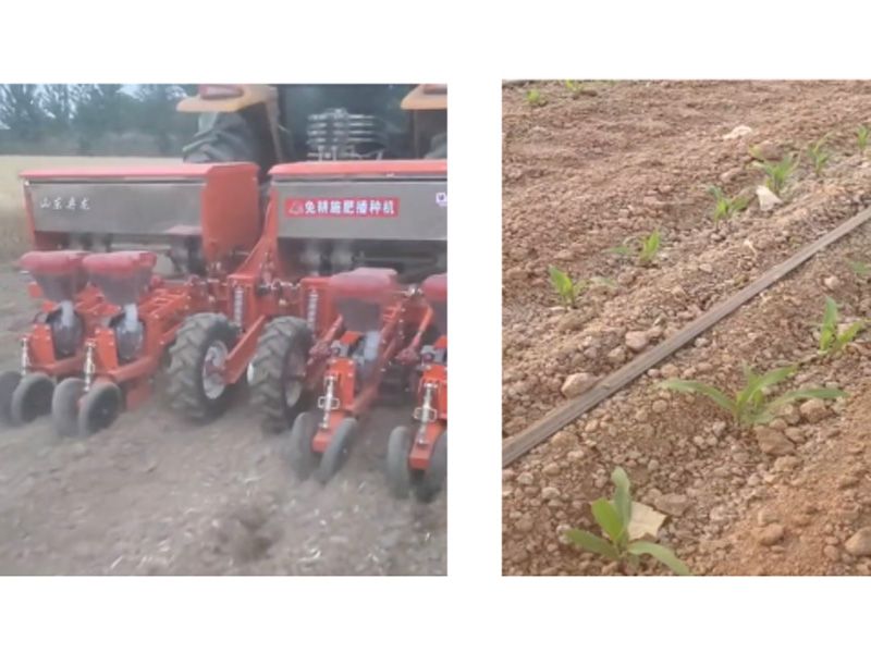 <img src=upfile/images/2025/07/10/small3_17521281942503583.jpg height=350>